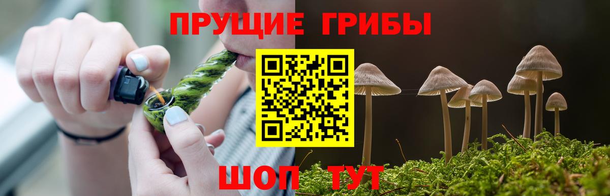 Псилоцибиновые грибы прущие грибы Партизанск